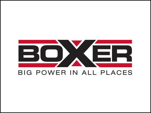 boxer logo