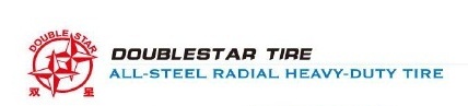 doublestar logo dsr